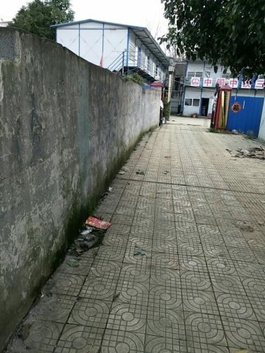 大人山公园旅行图片 1