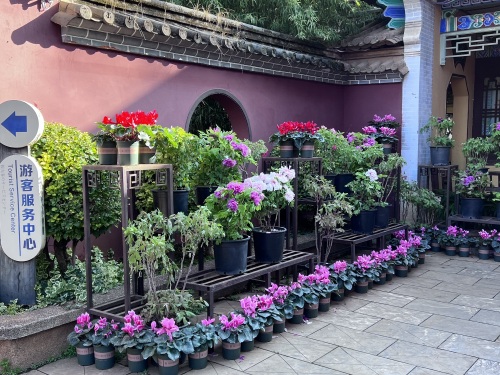 On-site photo 3 of Tan Hua Si Park