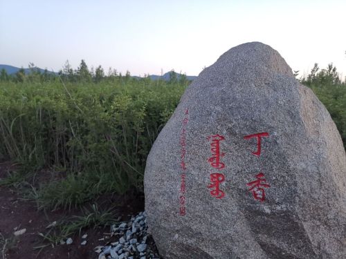 索伦湖旅行图片 1