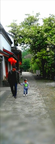 邵伯湖旅游度假区旅行图片 1