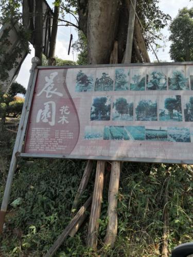 晨园旅行图片 1