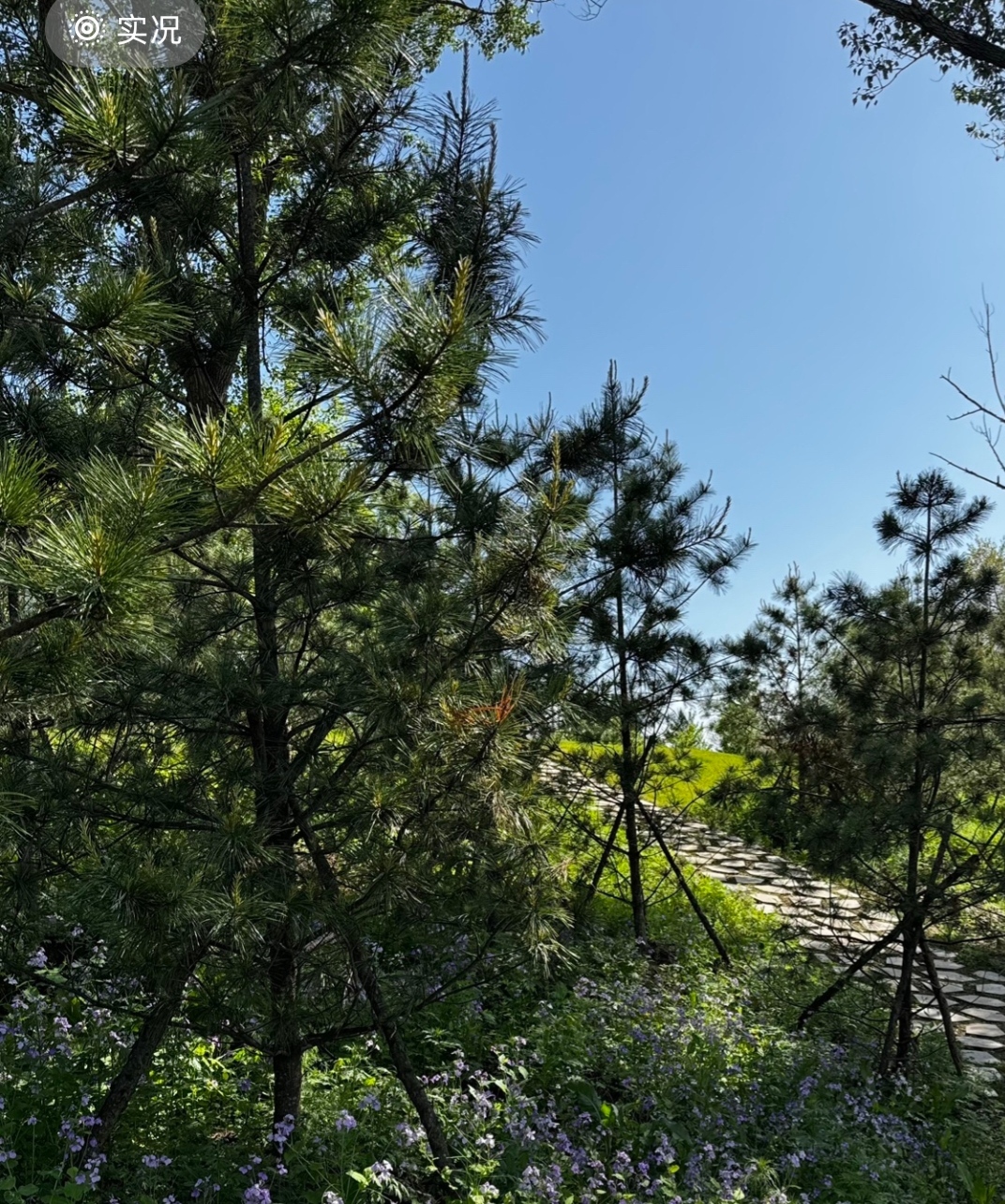 金鸣台公园