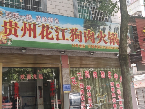 贵州花江狗肉火锅店