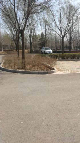 礼湖森林公园旅行图片 3