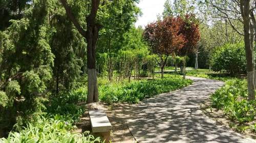 西红门九龙口休闲公园旅行图片 1