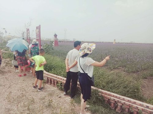 草原神画旅行图片 3