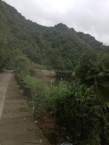 江西官山国家级自然保护区旅行图片 3