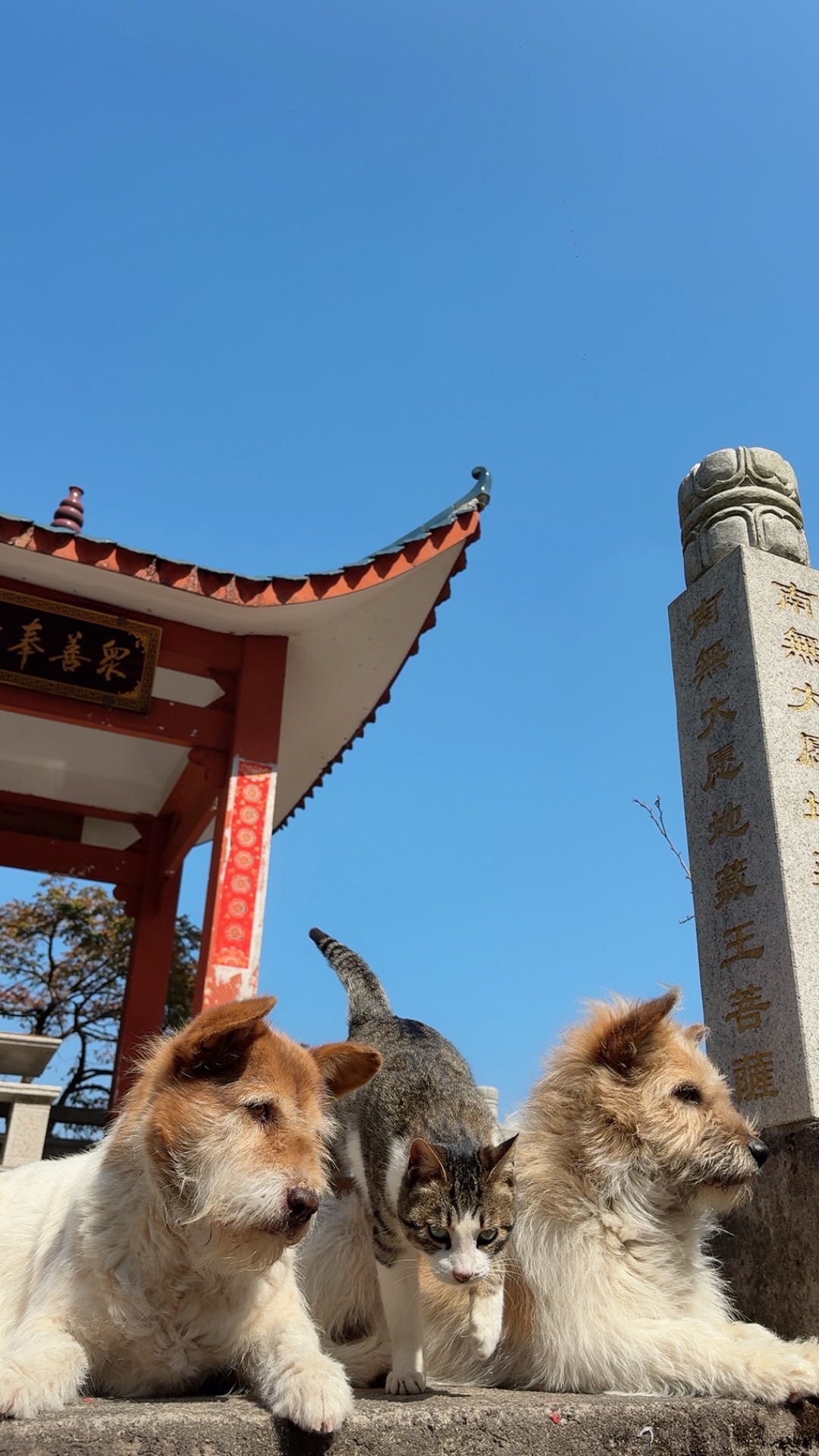 白岩寺实景照片