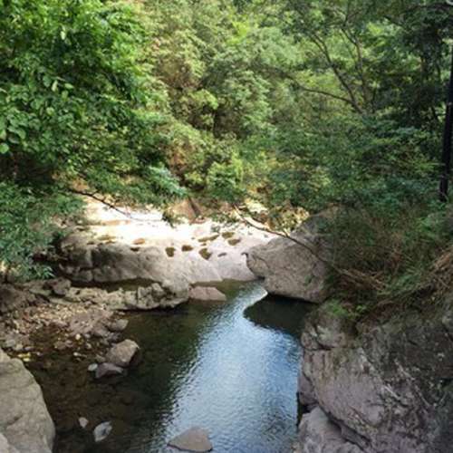 龙王山旅行图片 1