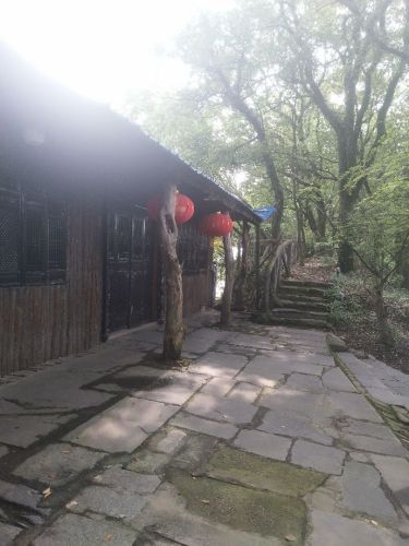 得雨生态园(不对外开放)旅行图片 3