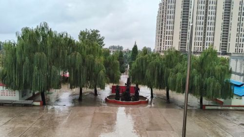 定州市东关小学