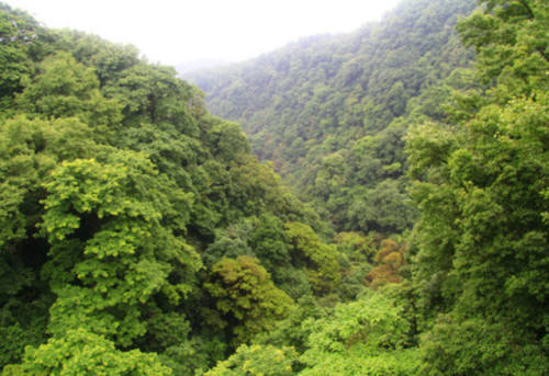 南门风雨桥旅行图片 2