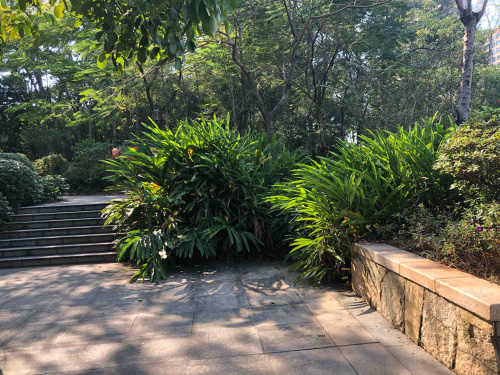云山公园旅行图片 2