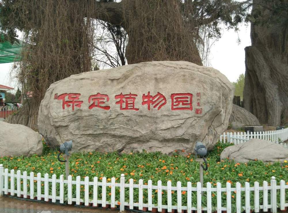 保定植物园景点图片