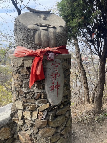 东山公园一棵松