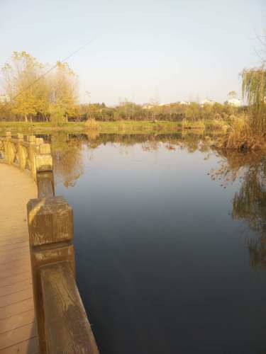南京雕塑公园旅行图片 3