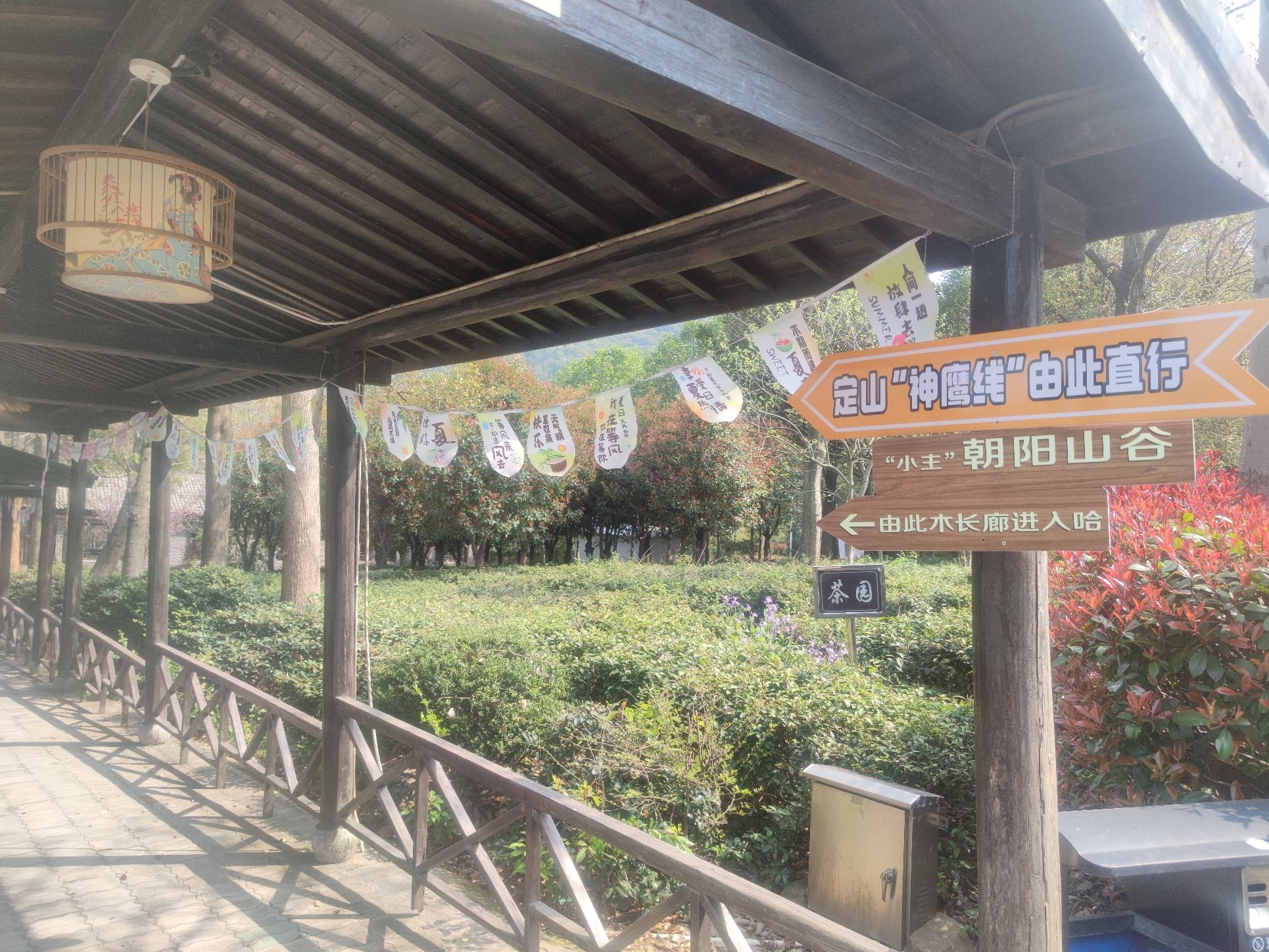 朝阳花谷景区