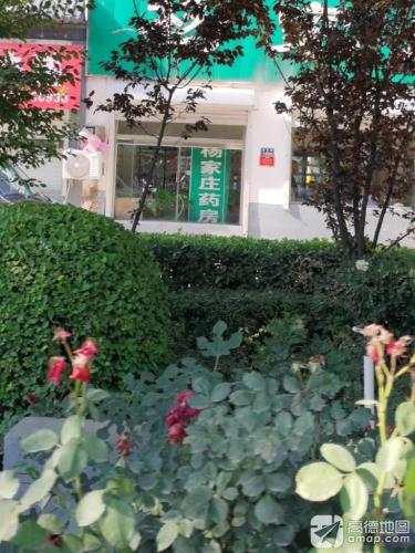 杨家庄药房
