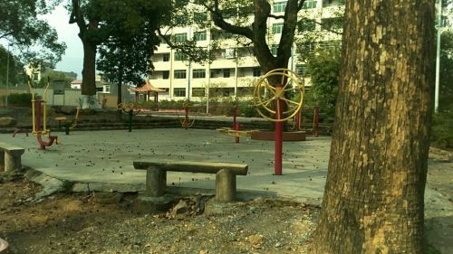 香樟公园旅行图片 2
