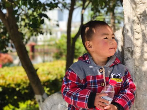 龙雾桥遗址公园旅行图片 3