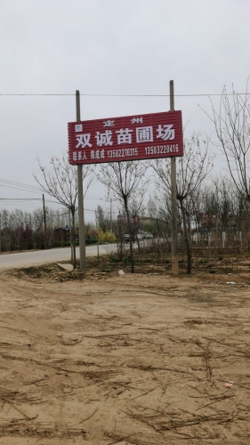 定州市双诚苗圃场