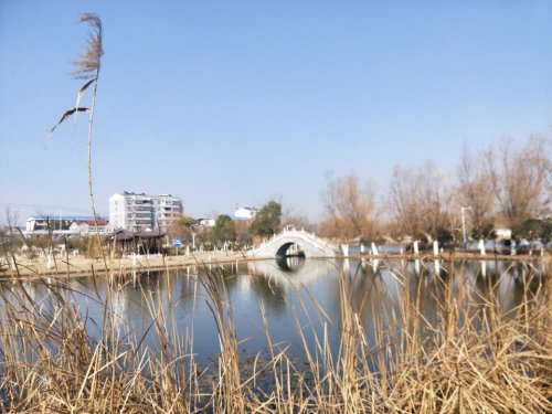 城北公园旅行图片 1