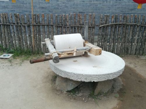 廿一号旅行图片 3