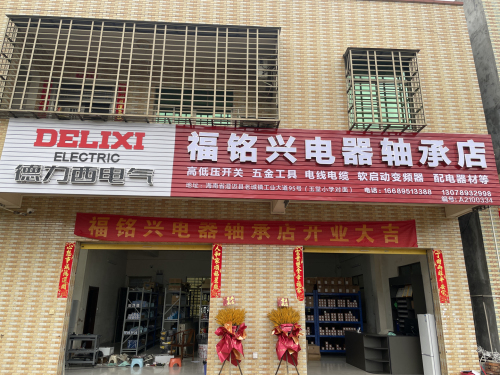 澄迈老城福铭兴电器轴承店