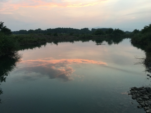 蒋家洲生态湿地风景区旅行图片 3