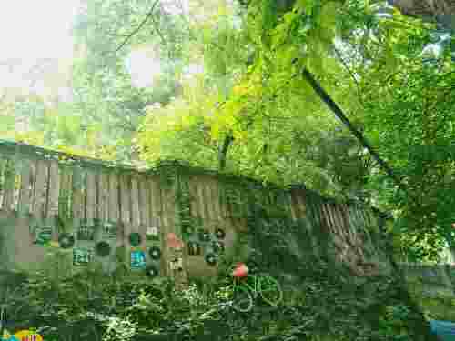 厂区路·时光里旅行图片 1