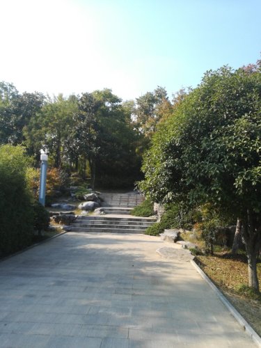方洲公园旅行图片 1