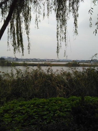 乌巾荡公园旅行图片 1