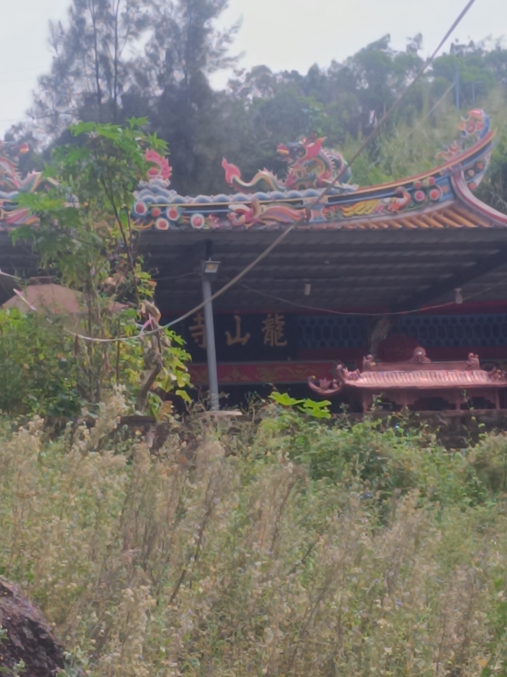 龙山寺实景照片