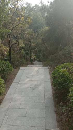 南山公园旅行图片 2