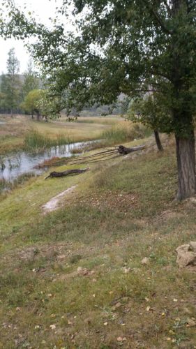 萨拉乌苏遗址旅行图片 3