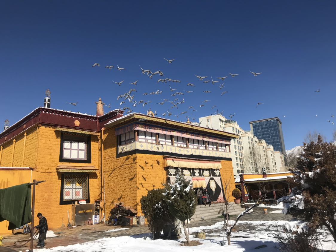 嘎琼祖拉康寺实景照片