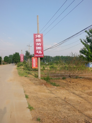 泽盛苗圃场
