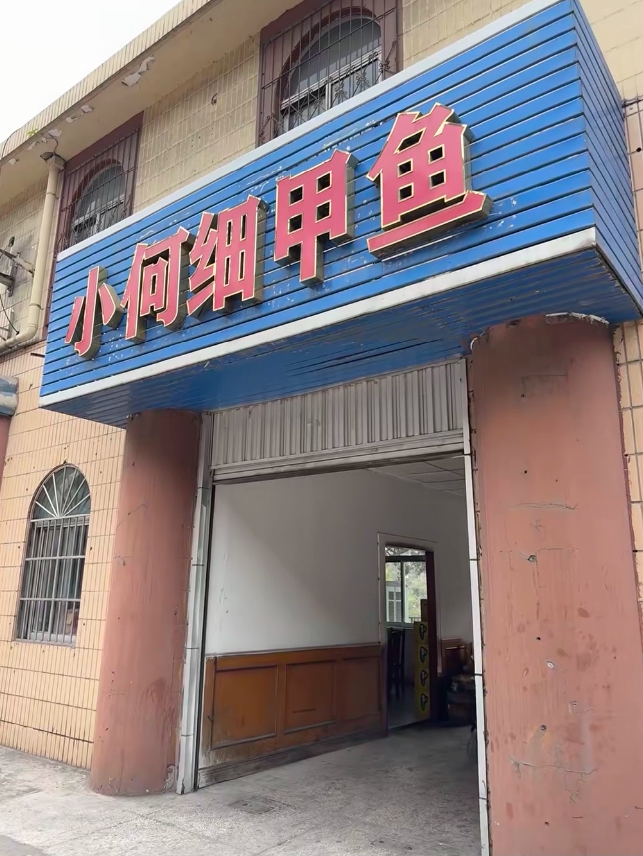 小何细甲鱼