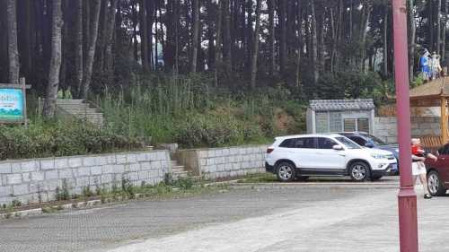 鲤鱼岗森林公园旅行图片 3