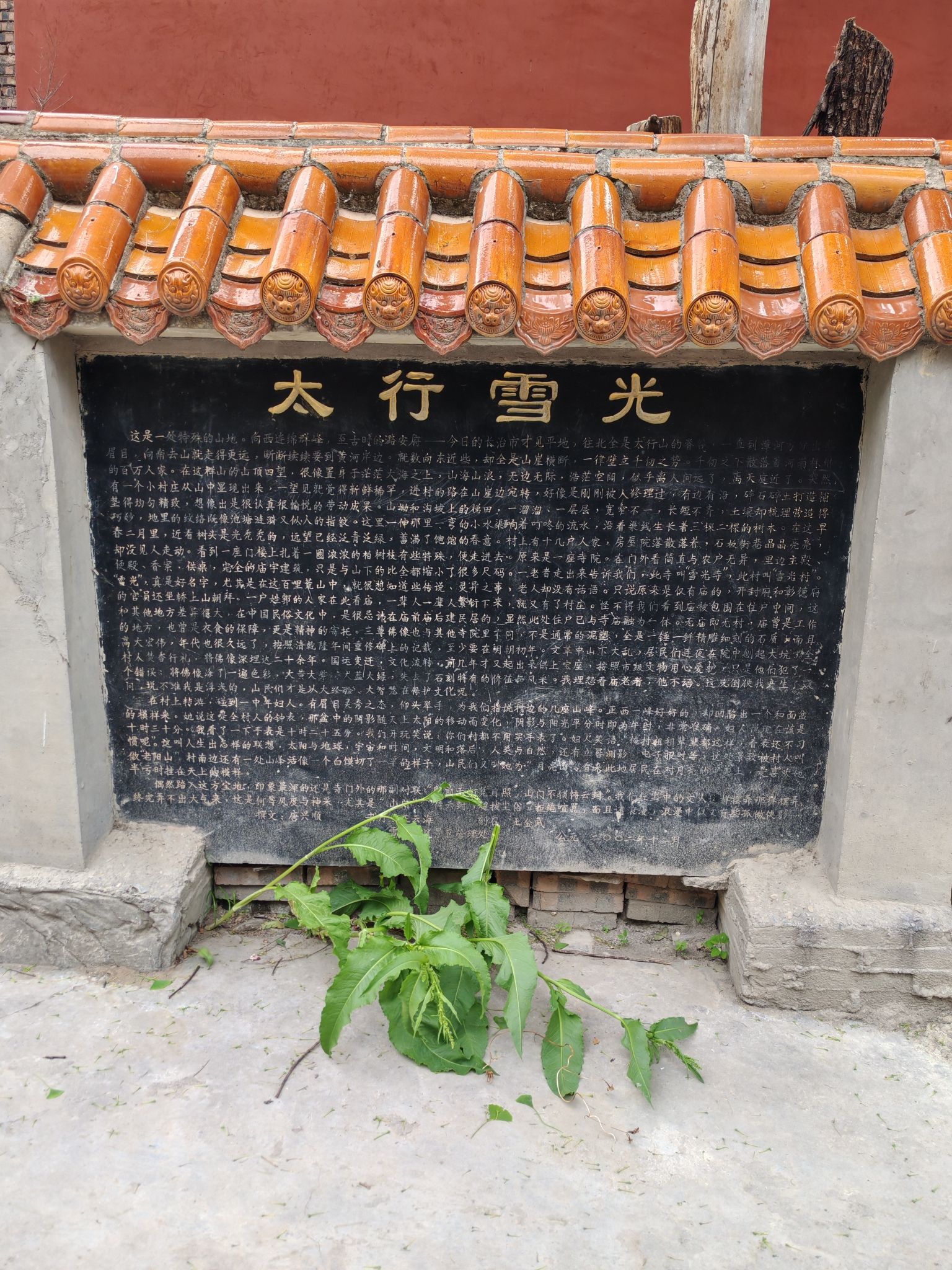 雪光寺实景照片