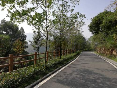 柯尔山公园旅行图片 1