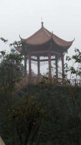 虹顶公园旅行图片 1
