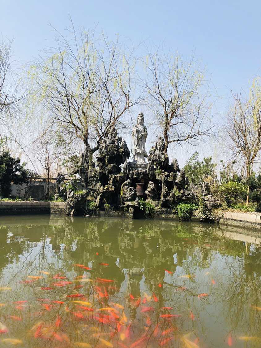 长寿禅寺实景照片