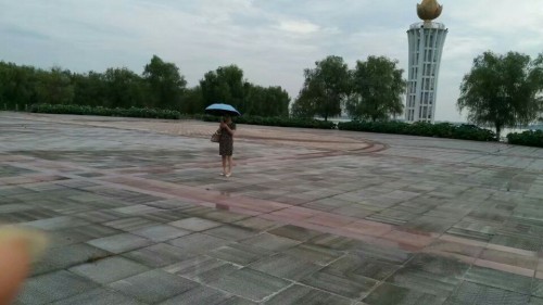团湖荷花公园旅行图片 1