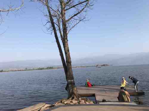 观海湾旅行图片 1