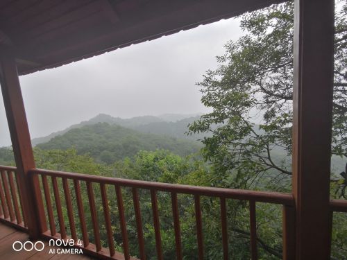 翠枫山自然风景区-观景台