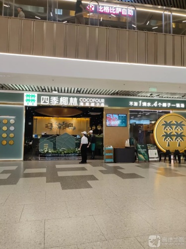 四季椰林椰子鸡(龙湖天街店)