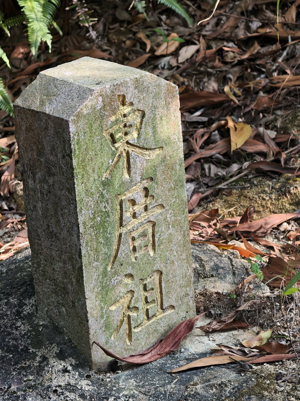 東厝祖廟实景照片