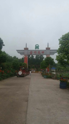 金竹花田旅行图片 1