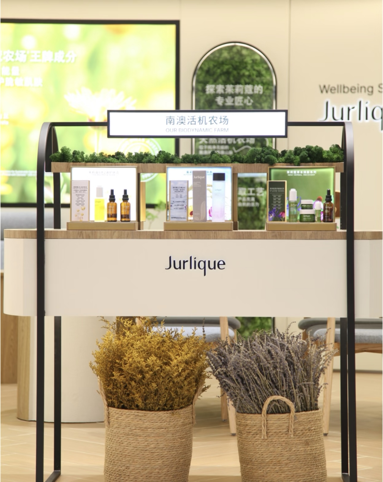 茱莉蔻(cdf三亚国际免税城1期店)